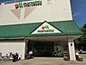 周辺：マルエツ北柏店まで266m