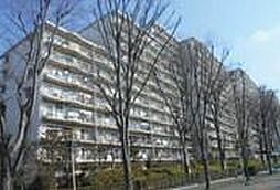 新松戸サンライトパストラル五番街Ｄ棟