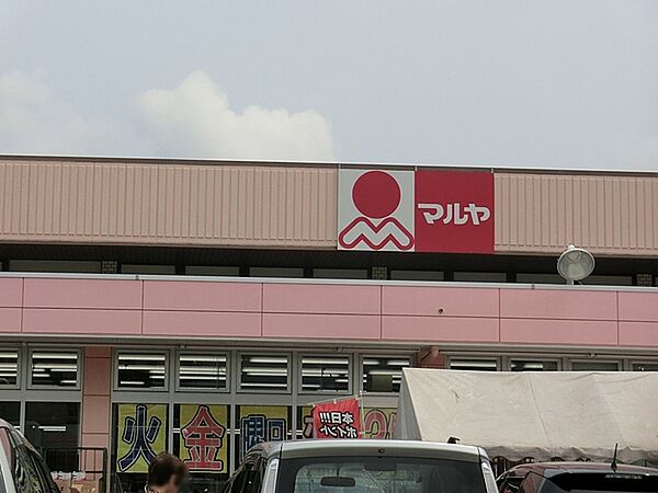 マルヤ沼南店まで1192m
