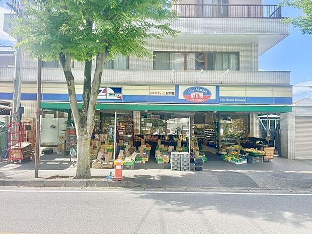 全日食チェーン松戸店まで501m