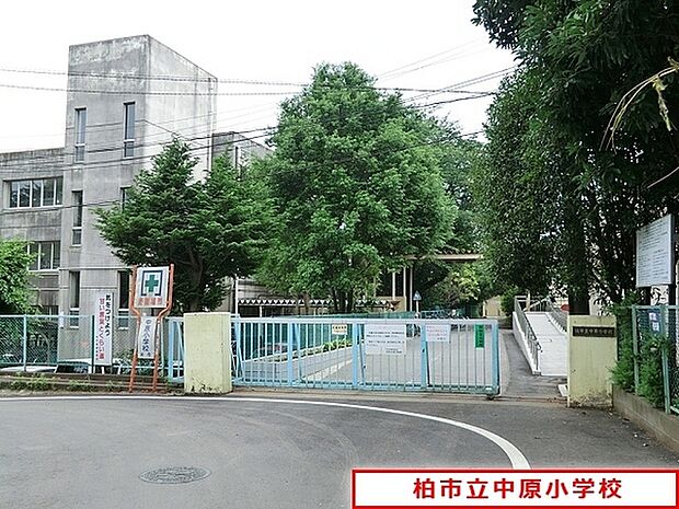 柏市立中原小学校まで850m、徒歩約11分お子様の通学も安心ですね