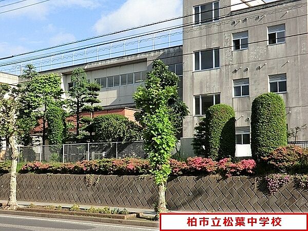 柏市立松葉中学校まで1100m、柏市立松葉中学校