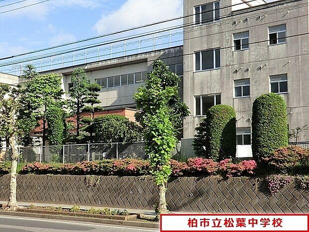 柏市立松葉中学校まで1100m、柏市立松葉中学校