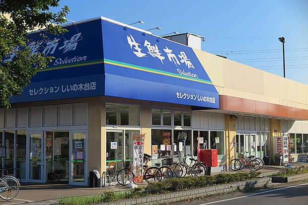 FOODS MARKET Selectionしいの木台店まで500m、徒歩約7分毎日のお買い物に便利ですね