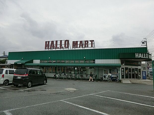 ハローマート南増尾店まで178m、ハローマート南増尾店