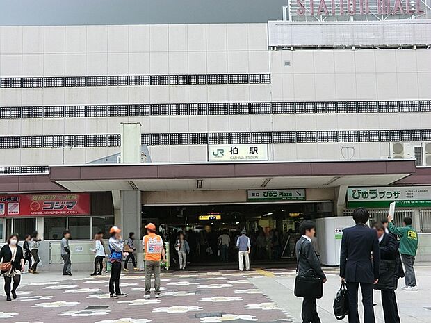 柏駅(JR 常磐線)まで1893m、JR常磐線、東武野田線の2路線利用可!