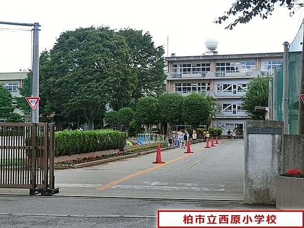 柏市立西原小学校まで800m、徒歩約10分お子様の通学も安心ですね