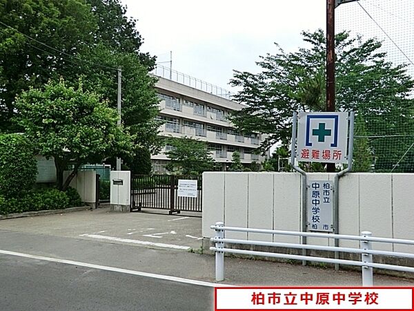 柏市立中原中学校まで801m、柏市立中原中学校