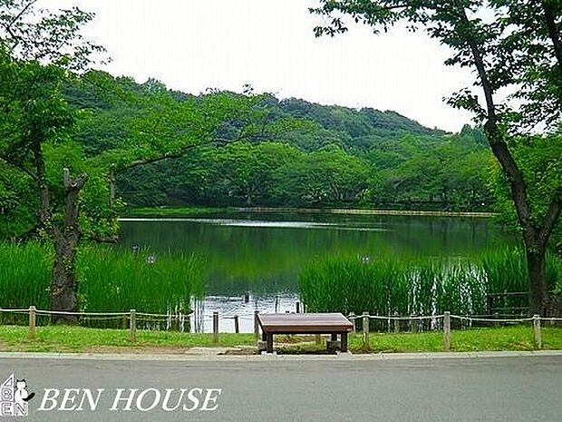 県立三ツ池公園 徒歩9分。園内は美しく整備され、四季を通じて豊かな緑を感じられます。 700m