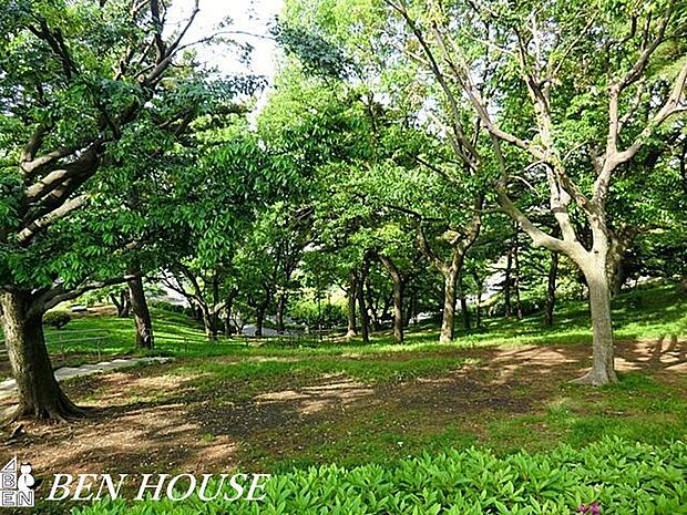 神之木公園 徒歩5分。樹々に囲まれた気持ちのよい公園です。 380m