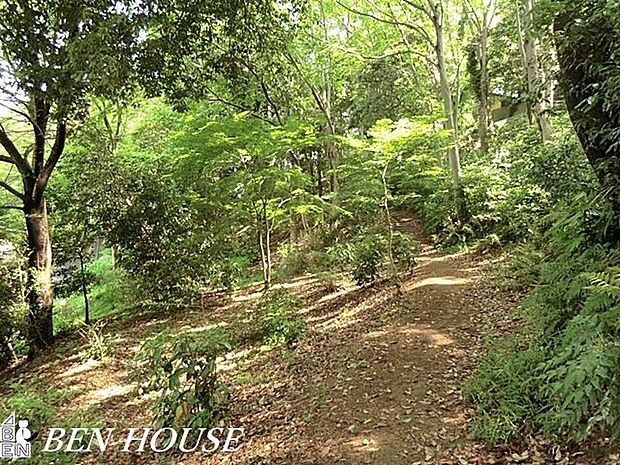 白幡公園 徒歩4分。樹々に囲まれた気持ちのよい公園です。 250m