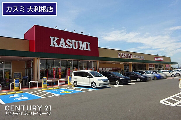 カスミフードスクエア大利根店まで1200m、カスミフードスクエア大利根店　徒歩約15分