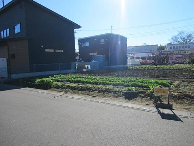 午前11時ころ撮影。