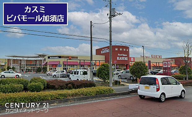 カスミフードスクエアビバモール加須店まで1417m、カスミフードスクエアビバモール加須店 徒歩18分