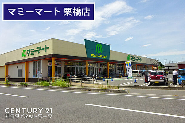 マミーマート栗橋店まで1036m、マミーマート栗橋店 徒歩13分