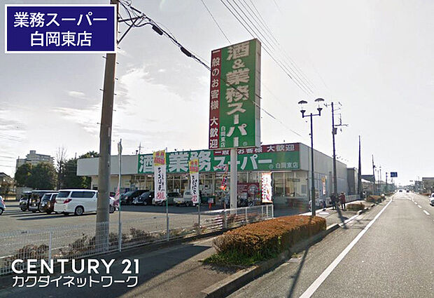 業務スーパー白岡東店まで867m、業務スーパー白岡東店 徒歩11分