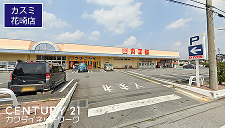 カスミ花崎店まで750m、カスミ花崎店　徒歩10分