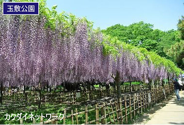 玉敷公園まで2528m、玉敷公園　徒歩32分