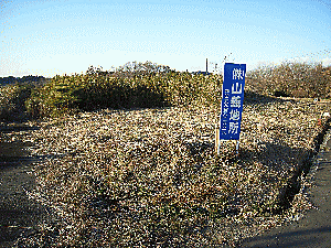 外観：308000158340