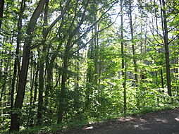 長野県上水内郡信濃町大字富濃3971-116