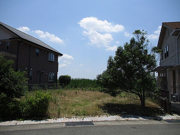 外観：328000486742