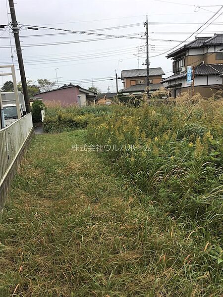 2019/11/18撮影