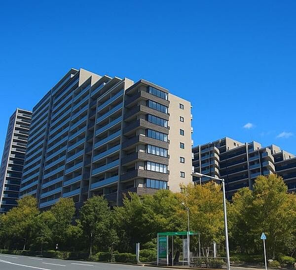 外観：313004939070