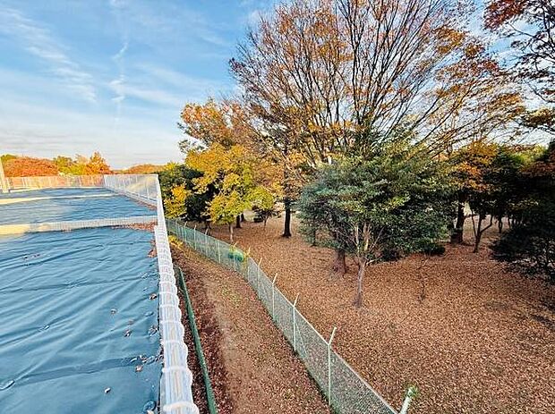 広がる敷地と豊かな緑が特徴の現地土地写真です。周囲には季節を感じられる木々が並び自然を身近に感じる環境です。フェンスでしっかりと囲われているため安心感もあります。開放的な空間を求める方におすすめです。