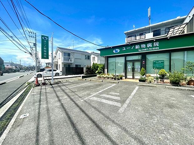 ユーノ動物病院まで951m、犬猫専門動物病院