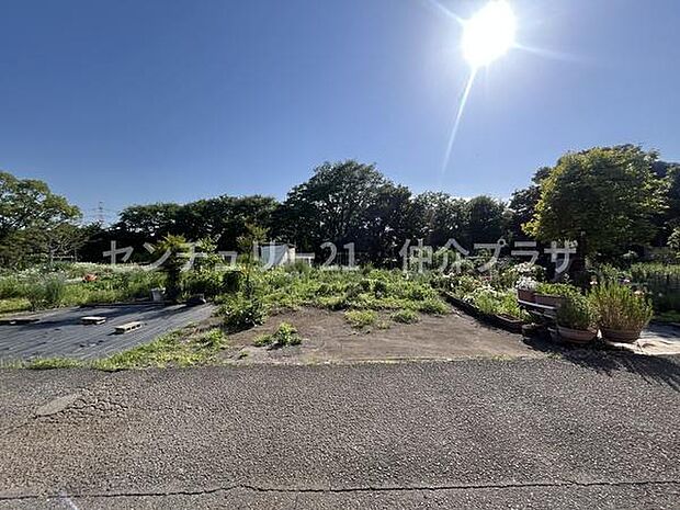 前面道路が広く車の出入りも安心して行えます。敷地の周囲には自然が広がり周辺環境が開放的です。現地は日当たりが良く明るい雰囲気が感じられます。周囲の植栽も緑豊かで敷地の雰囲気が良く整っています。