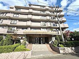 シーダム藤沢善行