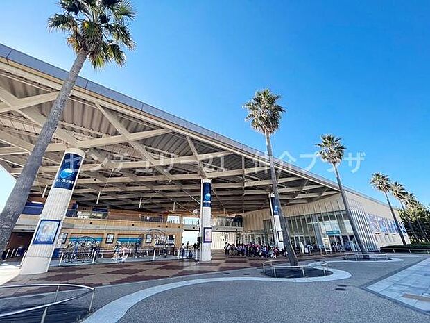 新江ノ島水族館まで1236m