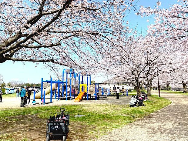 引地川親水公園まで512m、ピクニックに最適な遊具もたくさんある親水公園