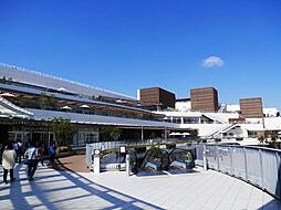 日常の買い物から休日のレジャーまで満喫「テラスモール湘南」