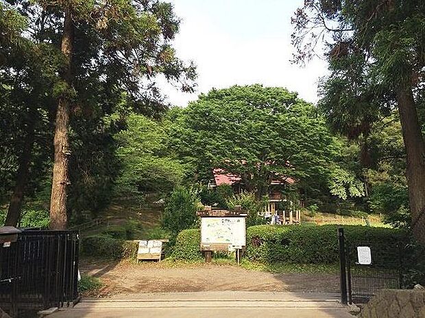 藤沢市少年の森まで986m