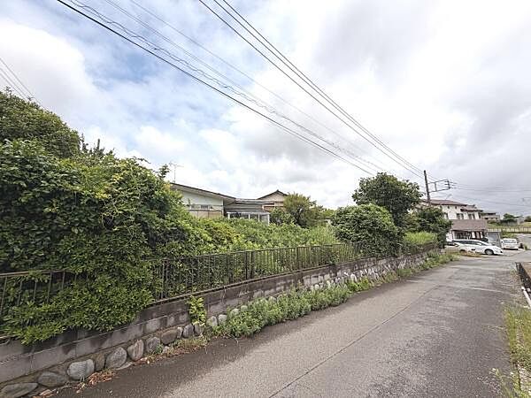 落ち着いた雰囲気の前面道路が広がっています。