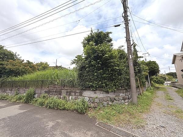 現地写真は周囲に緑が多く自然の雰囲気を感じられる環境です。