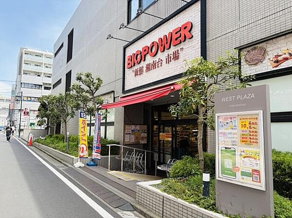 ビッグパワー 新鮮湘南台市場まで510m