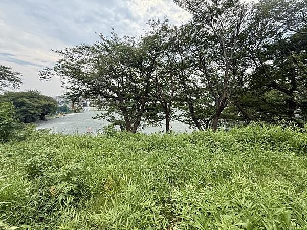 目の前には豊かな自然が広がり緑と水辺の景観が魅力的です。開放感あふれる場所で四季折々の表情が楽しめます。周辺には木々が立ち並び静かな環境が整っています。日常の中で自然を身近に感じられる立地です。