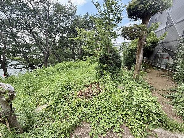 緑に囲まれた開放感あふれる空間です。自然を身近に感じられるロケーションで四季を楽しめます。敷地内に木々が多く落ち着いた雰囲気が広がっています。ゆったりとした広さで様々な用途に活用可能です。