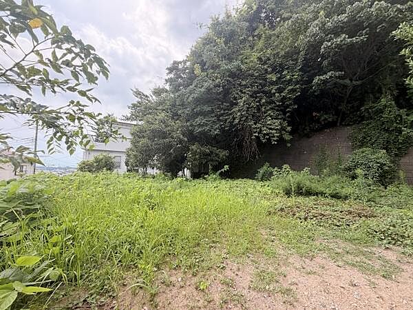 緑豊かな現地土地写真です。周囲には木々が茂り自然を身近に感じられる環境です。開放感のある広々とした土地が広がっています。日当たりも良好でのびやかな印象を与えます。周辺の景色も魅力的に映ります。