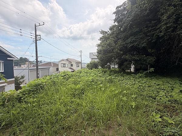 現地土地写真のとおり緑豊かな敷地が広がっています。