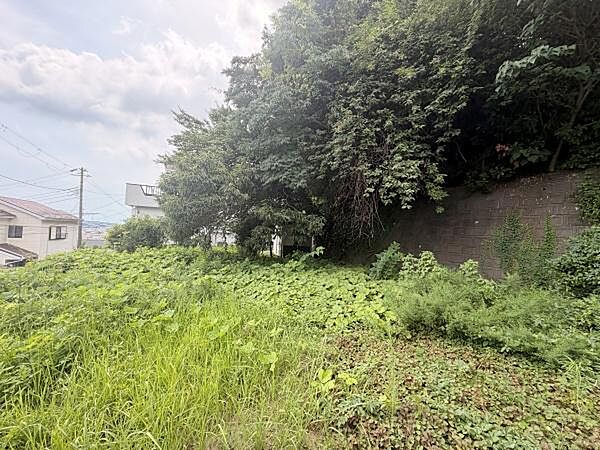 緑に囲まれた広々とした敷地です。周辺に住宅があり落ち着いた雰囲気の現地土地写真です。