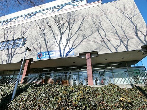 コーナン湘南藤沢店まで1176m