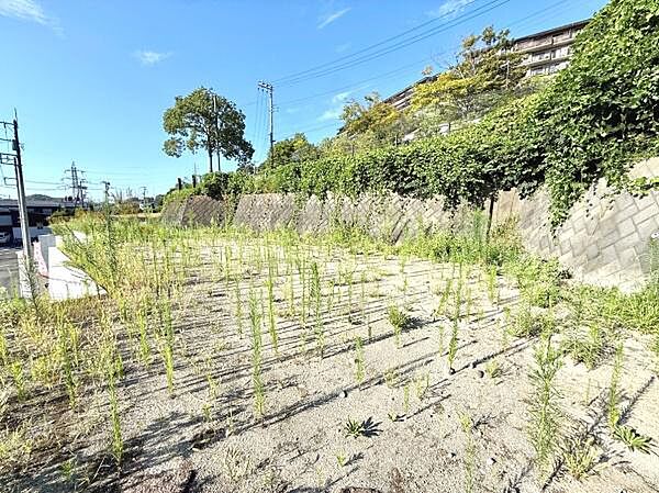 現地土地写真では陽当たりの良い空間が広がっています。道路や周辺の建物との距離感もわかりやすく開放感を感じられます。敷地内は雑草が生い茂っていますが土地の広さや形状が把握しやすい状態です。