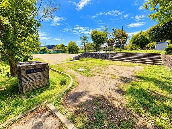 開放感のある公園内は青空と緑が広がる明るい雰囲気です。