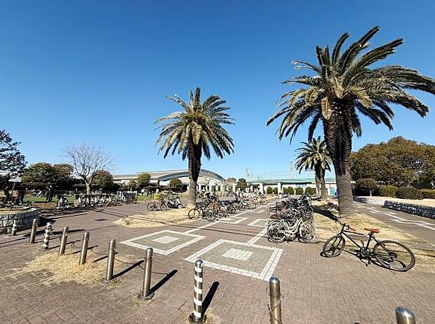 鵠沼運動公園(八部公園)まで1025m