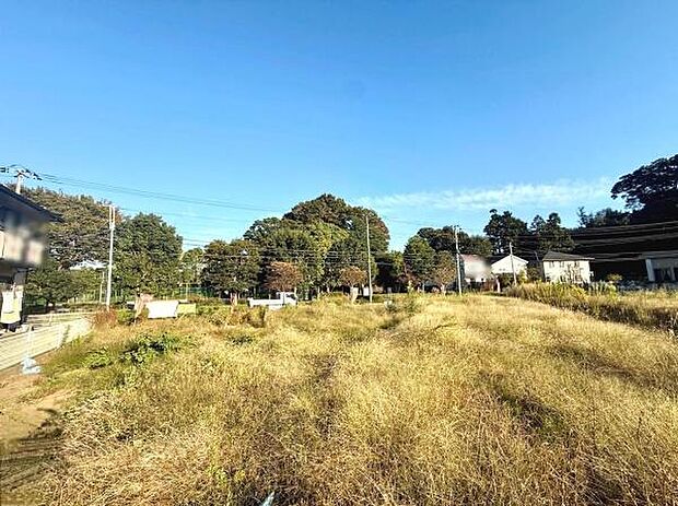 現地土地写真では広々とした敷地が印象的です。周囲に住宅や緑が広がり開放感があります。