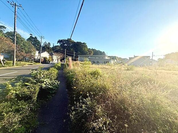 周囲には自然が多く開放感のある現地土地写真です。道路に面しているためアクセスしやすい立地です。