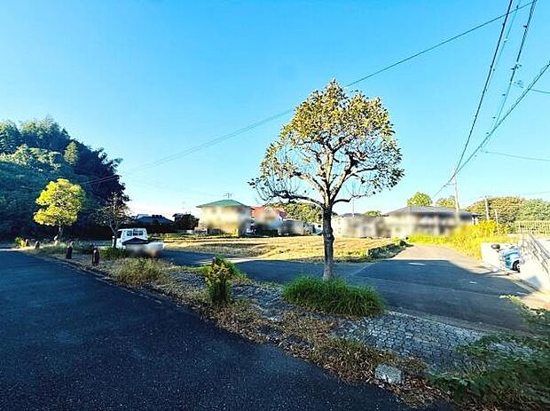 現地の前面道路が写真にしっかり写っています。敷地の開放感や周囲の街並みが見渡せる環境です。